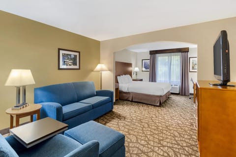 Room, 1 King Bed with Sofa bed, Non Smoking (Bathtub) | Egyptian cotton sheets, down comforters, pillowtop beds, desk