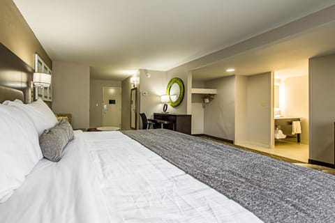 Standard Room, 1 King Bed, Non Smoking, Refrigerator | Down comforters, in-room safe, desk, laptop workspace