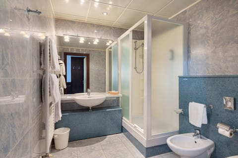 Deluxe Double or Twin Room | Bathroom | Shower, free toiletries, hair dryer, bidet