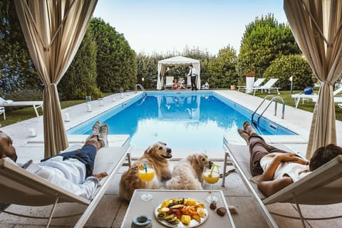 Pet-friendly
