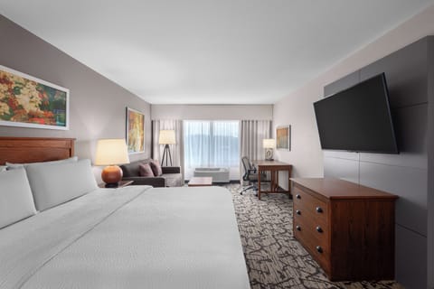 Standard Room, 1 King Bed with Sofa bed | Desk, laptop workspace, blackout drapes, iron/ironing board