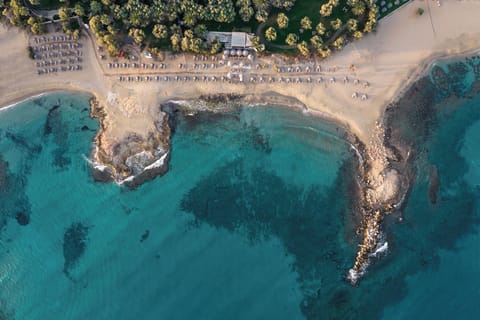 Private beach, sun loungers, beach umbrellas, beach towels