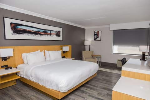 Premium bedding, down comforters, in-room safe, desk