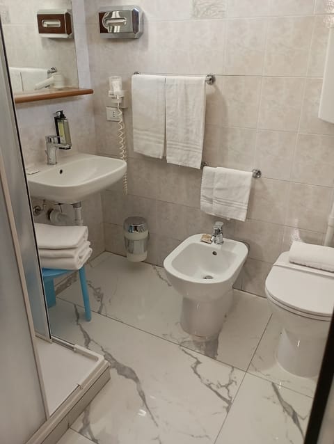Shower, free toiletries, hair dryer, bidet