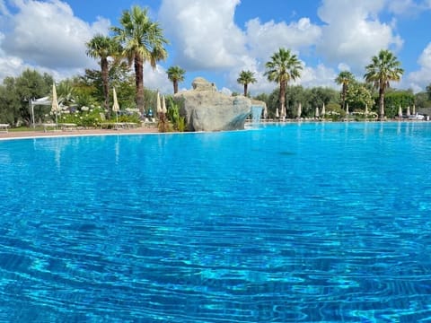 Seasonal outdoor pool, pool umbrellas, sun loungers