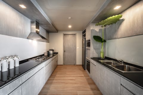 2 BR Ocean View Residence | Private kitchenette | Coffee/tea maker