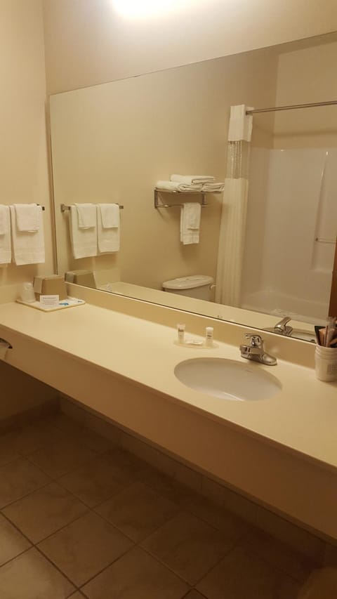 Combined shower/tub, free toiletries, hair dryer, towels