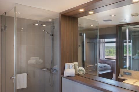 Combined shower/tub, free toiletries, hair dryer, towels