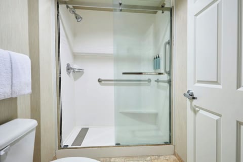 Combined shower/tub, free toiletries, hair dryer, towels