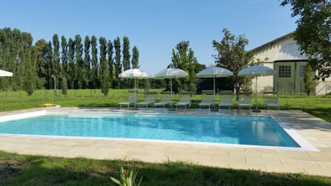 Outdoor pool, sun loungers