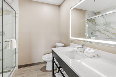 Deluxe Room, 1 Queen Bed, Non Smoking, Refrigerator & Microwave | Bathroom | Combined shower/tub, eco-friendly toiletries, hair dryer, towels