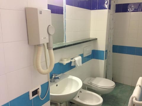 Shower, free toiletries, hair dryer, bidet