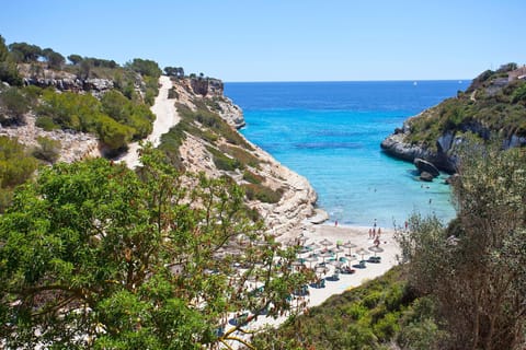 Beach nearby, free beach shuttle, sun loungers, beach umbrellas