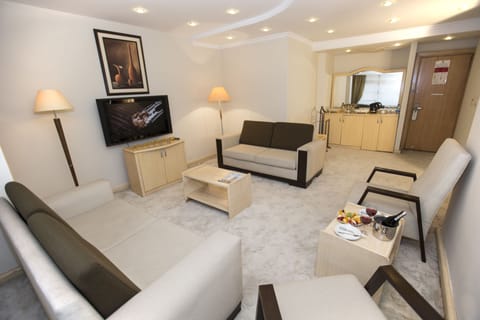 Basic Suite | Minibar, in-room safe, desk, soundproofing