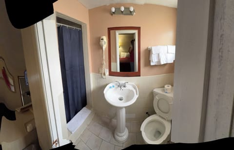 Standard Room, 2 Double Beds, Refrigerator & Microwave | Bathroom | Shower, hair dryer, towels