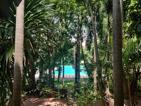 Outdoor pool, open 7:00 AM to 8:00 PM, pool umbrellas, sun loungers