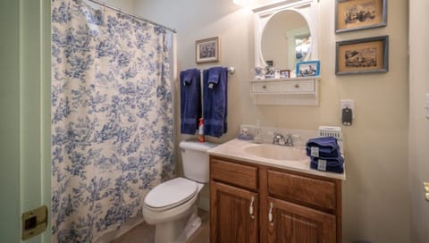 Standard Double Room, Ensuite (The Blue Room)