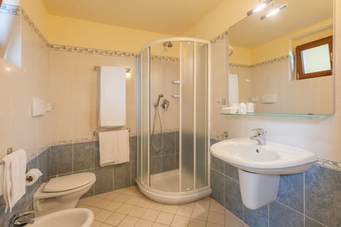 Shower, free toiletries, hair dryer, bidet