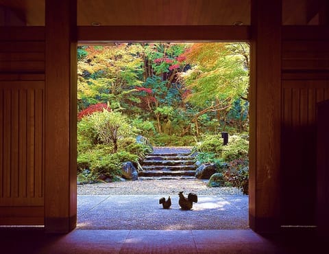 Interior entrance