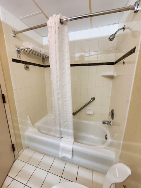 Combined shower/tub, free toiletries, hair dryer, towels