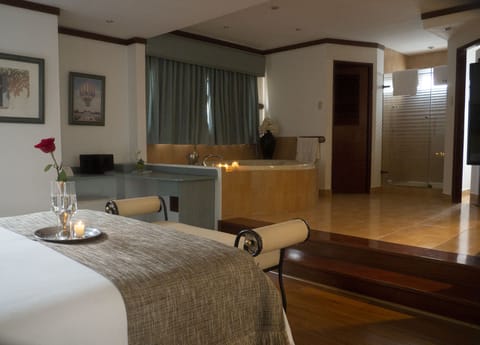 Premium Suite, 1 Bedroom, Hot Tub | View from room