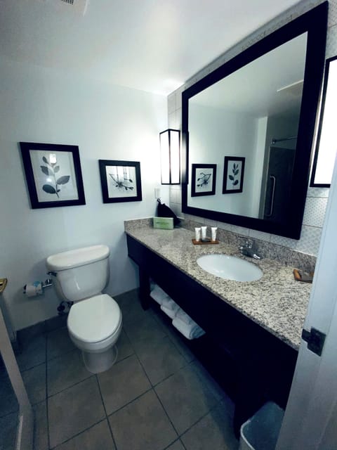 Combined shower/tub, rainfall showerhead, free toiletries, hair dryer