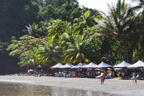 Beach shuttle, beach towels