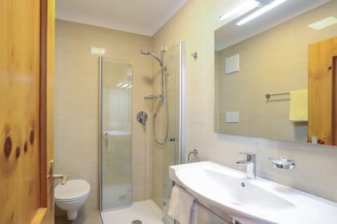 Classic Double Room | Bathroom | Shower, free toiletries, hair dryer, towels