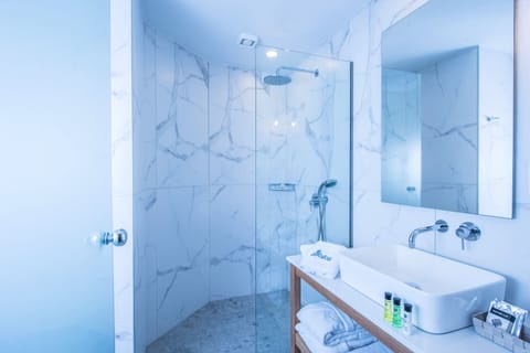 Deluxe Twin Room | Bathroom | Shower, hair dryer, towels, soap