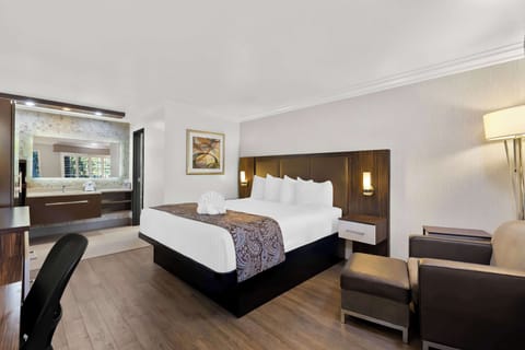 Standard Room, 1 King Bed, Non Smoking, Refrigerator & Microwave | Desk, iron/ironing board, free cribs/infant beds, free WiFi