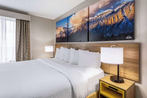 *Newly Renovated*  Standard Room, 1 King Bed | Desk, soundproofing, iron/ironing board, cribs (free)