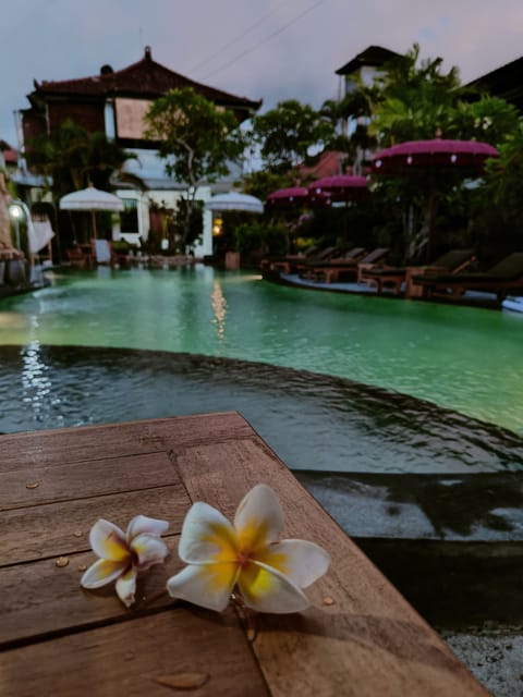 Outdoor pool, open 7:00 AM to 8:00 PM, pool umbrellas, sun loungers