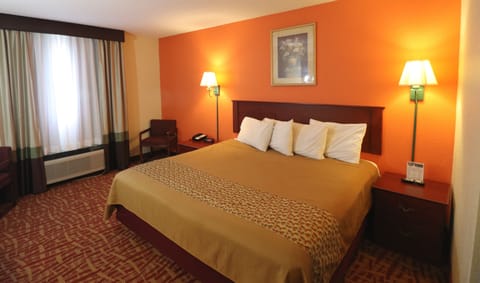 Standard Room, 1 King Bed | Desk, blackout drapes, iron/ironing board, free WiFi