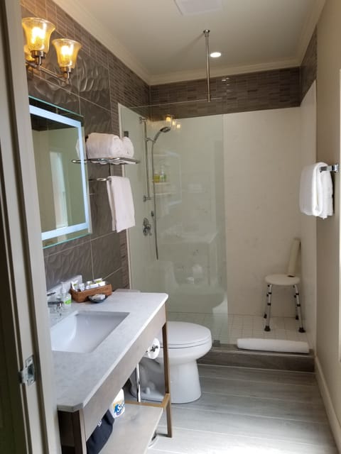 Shower, free toiletries, hair dryer, bathrobes