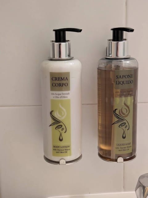 Shower, free toiletries, hair dryer, slippers