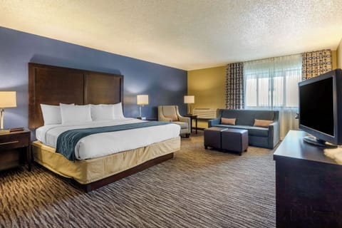 Premium bedding, down comforters, pillowtop beds, desk