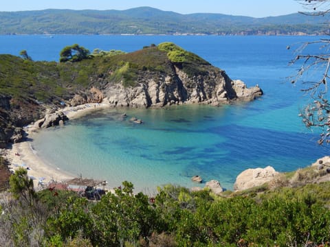 Beach nearby, beach bar