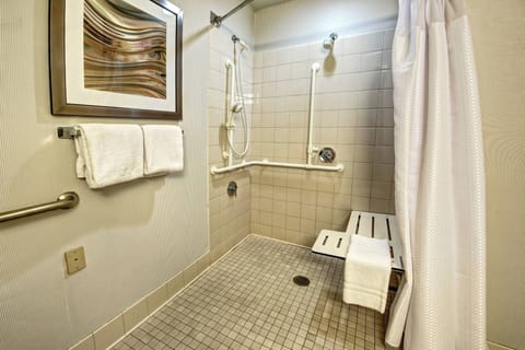 Hydromassage showerhead, free toiletries, hair dryer, towels