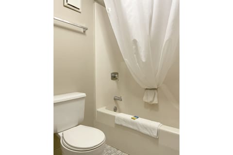 Combined shower/tub, free toiletries, hair dryer, towels