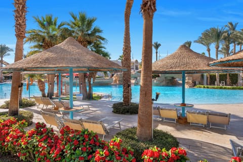 Poolside bar