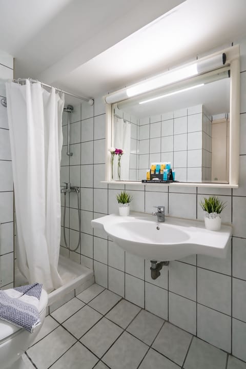 Standard Triple Room | Bathroom | Shower, free toiletries, hair dryer, towels