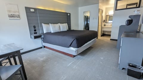 Room, 1 King Bed, Non Smoking | Laptop workspace, blackout drapes, free WiFi, bed sheets