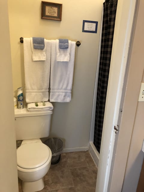 Room, 1 Queen Bed ( Room #2, Queen Bed) | Bathroom | Combined shower/tub, towels