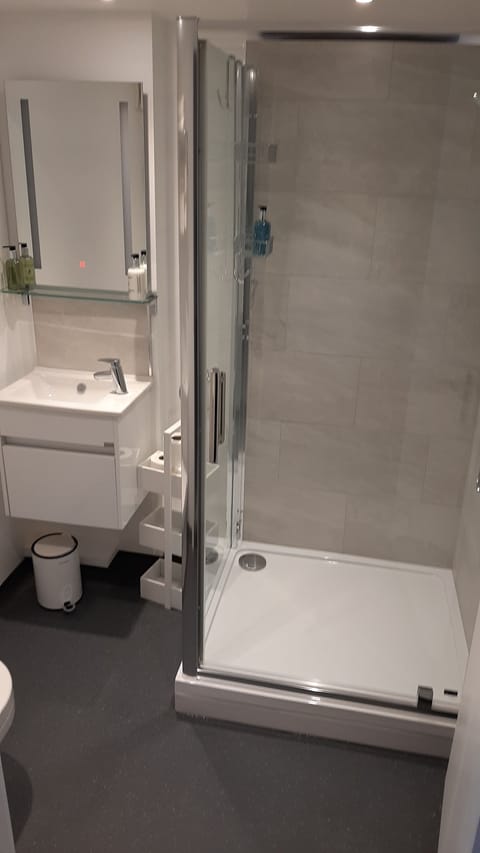 Superior Double Room | Bathroom | Shower, free toiletries, hair dryer, towels