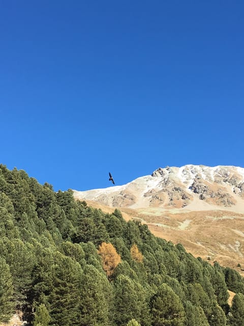 Hiking