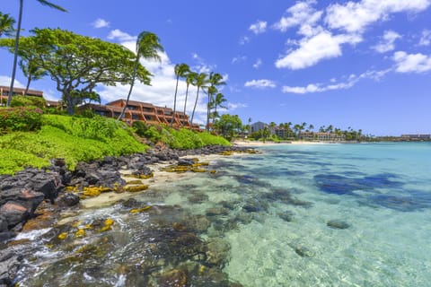 Condo, 1 Bedroom | Beach | On the beach