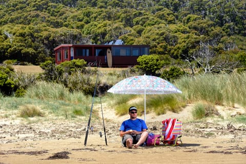 Children's activities