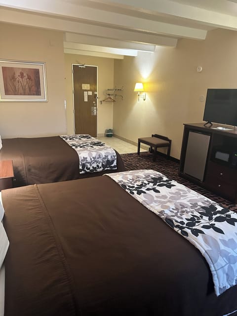 Standard Room 2 Queen Beds | Free WiFi, bed sheets