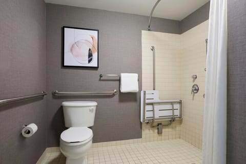 Combined shower/tub, free toiletries, hair dryer, towels