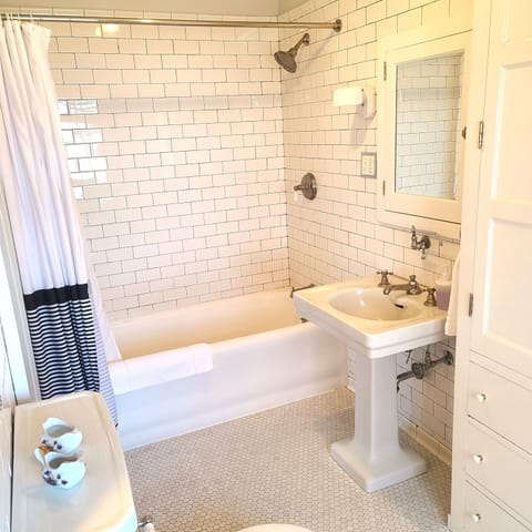 Premium Suite, 1 King Bed, River View | Bathroom | Combined shower/tub, free toiletries, hair dryer, bathrobes